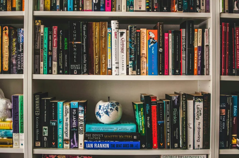 Large Collection of Fiction & Non-Fiction Books (80+ volumes)