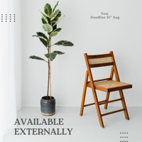 Wooden Folding Chair with Rattan Seat and Backrest